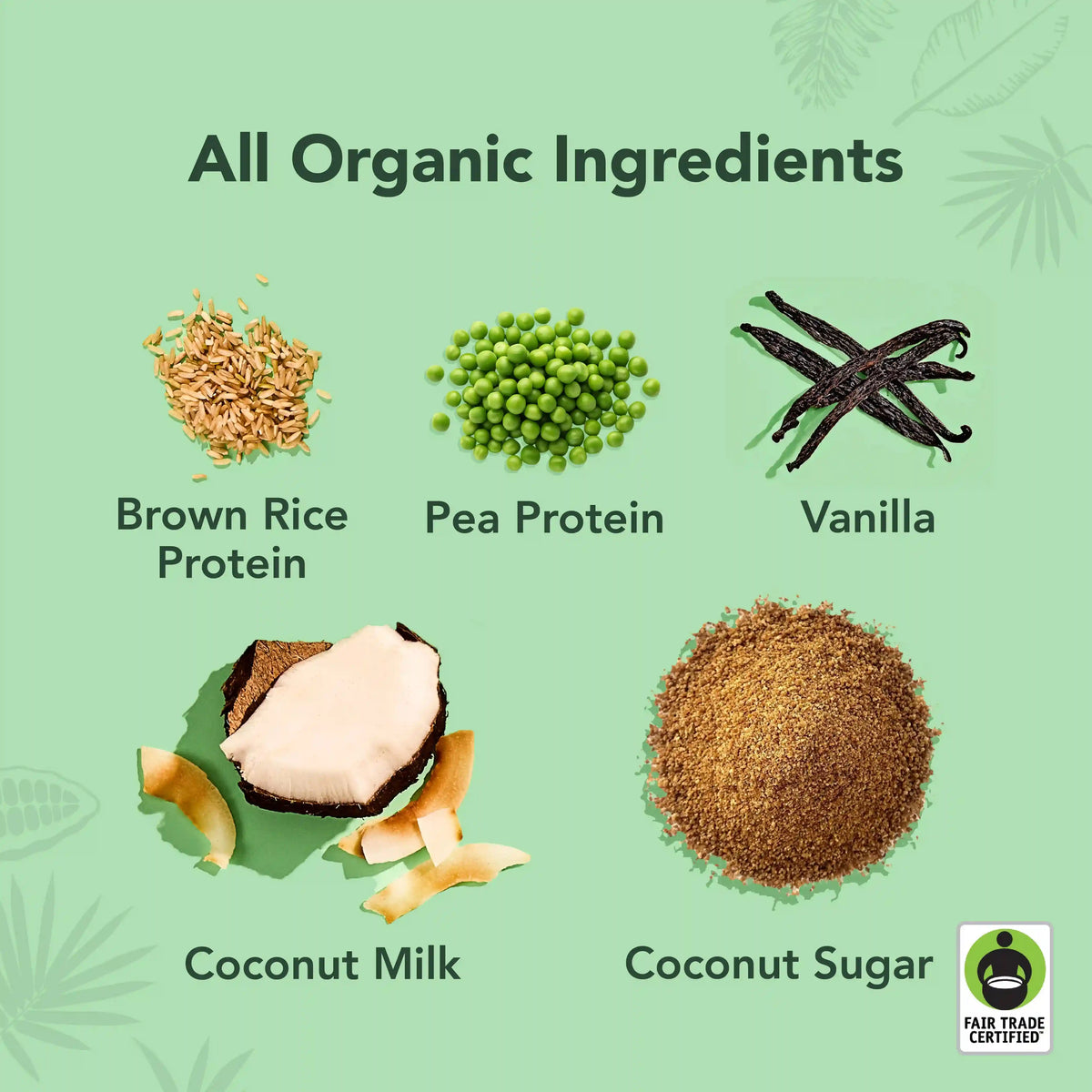Vanilla - Protein Drinks
