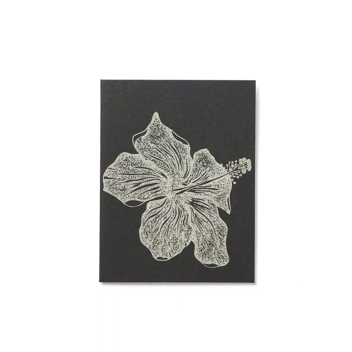 Everyday Card Pack | Spring Multi Pack