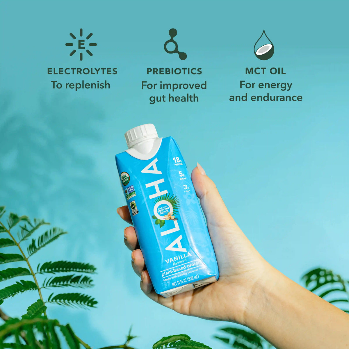 Vanilla - Protein Drinks