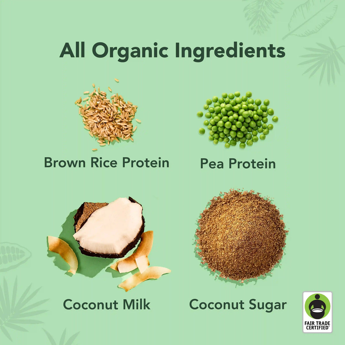Coconut Protein Drinks - 4-Pack